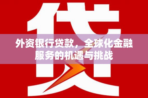成县外资银行贷款，全球化金融服务的机遇与挑战