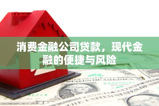 成县消费金融公司贷款，现代金融的便捷与风险