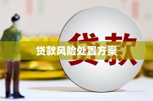 成县贷款风险处置方案
