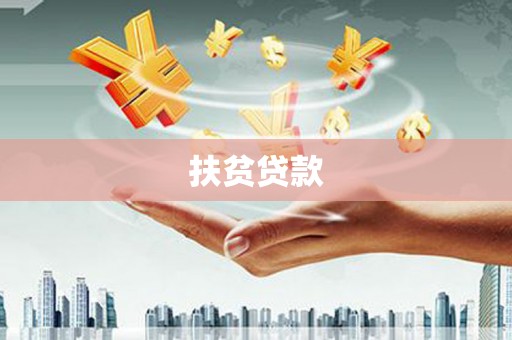 成县扶贫贷款