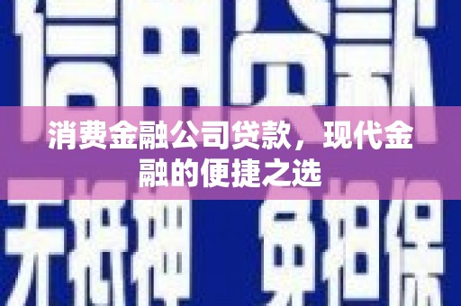 成县消费金融公司贷款，现代金融的便捷之选