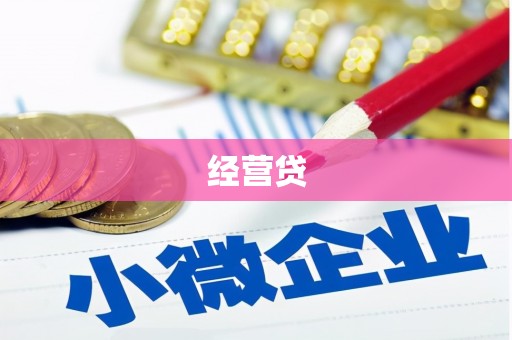 成县经营贷