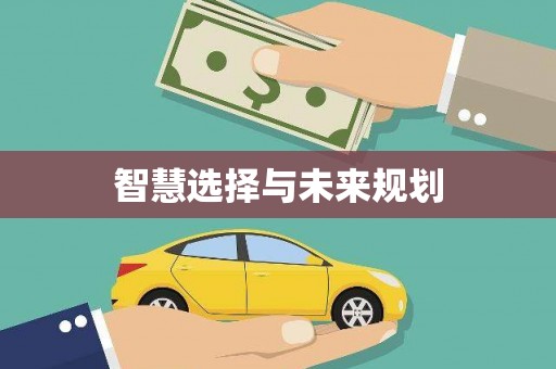 成县智慧选择与未来规划