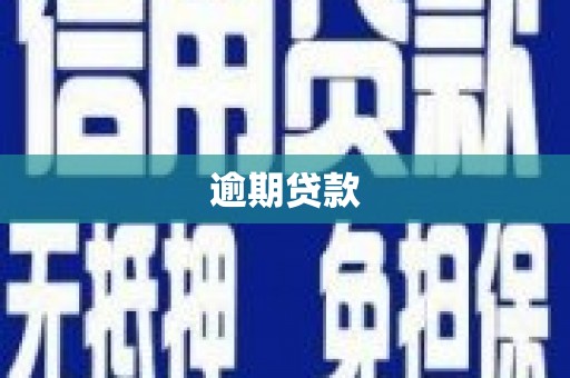 成县逾期贷款