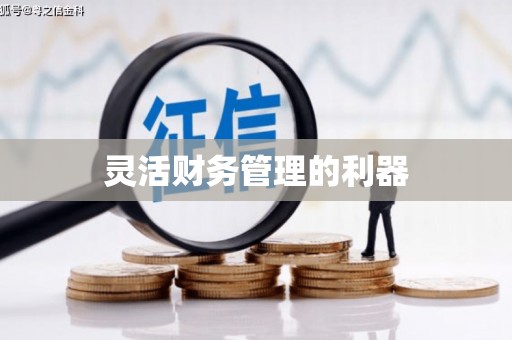 成县灵活财务管理的利器