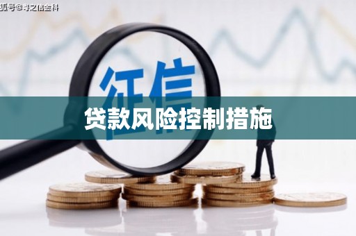 成县贷款风险控制措施