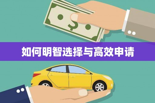 成县如何明智选择与高效申请