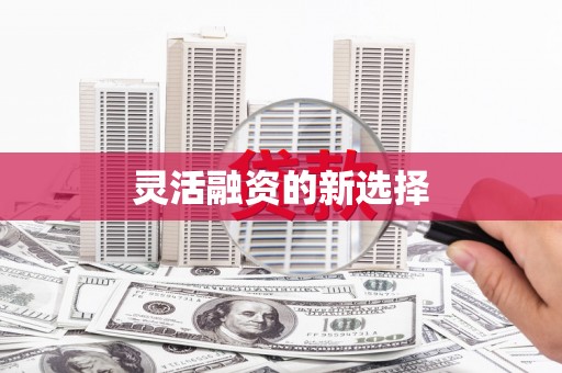 成县灵活融资的新选择