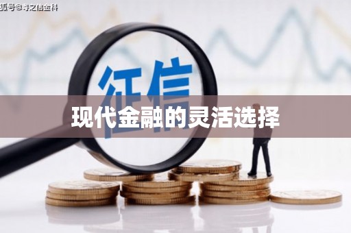 成县现代金融的灵活选择