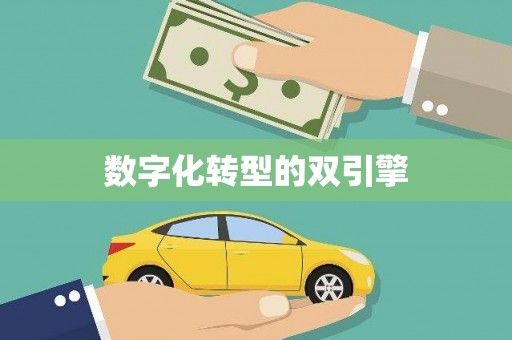 成县数字化转型的双引擎