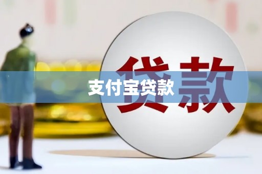 成县支付宝贷款