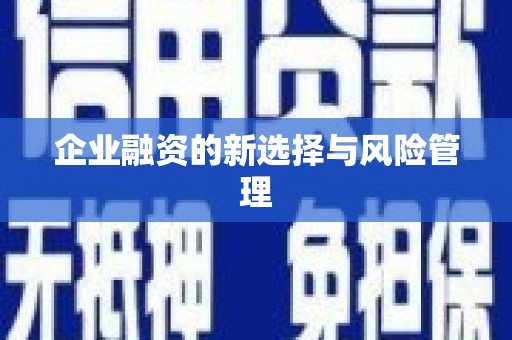 成县企业融资的新选择与风险管理