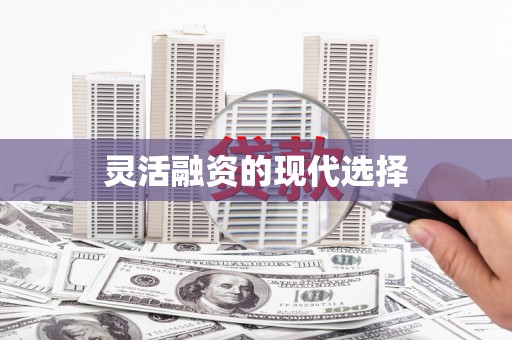 成县灵活融资的现代选择
