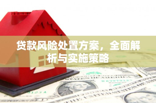 成县贷款风险处置方案，全面解析与实施策略