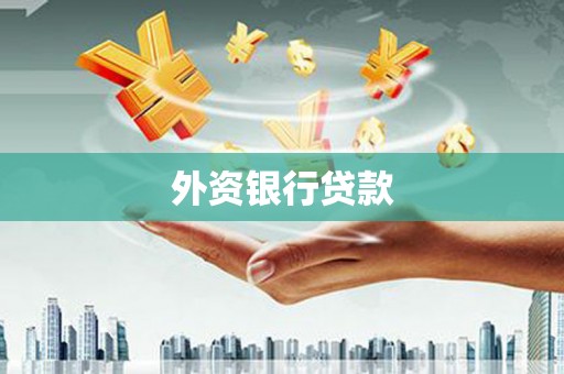成县外资银行贷款