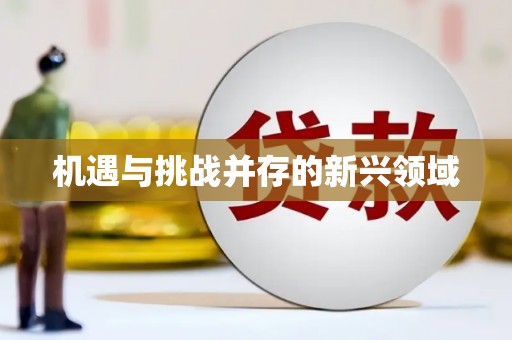 成县机遇与挑战并存的新兴领域