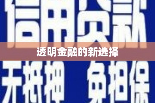 成县透明金融的新选择