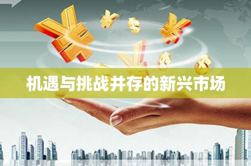 成县机遇与挑战并存的新兴市场