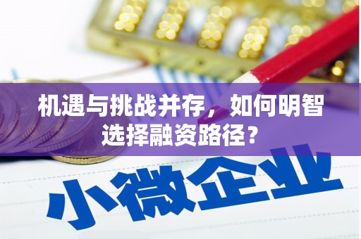 成县机遇与挑战并存，如何明智选择融资路径？