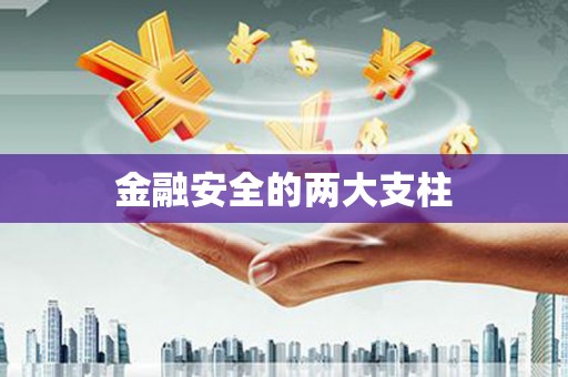 成县金融安全的两大支柱