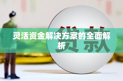 成县灵活资金解决方案的全面解析