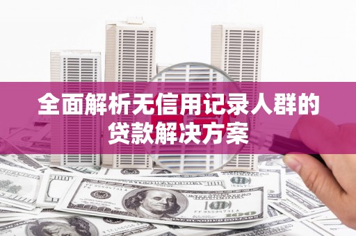 成县全面解析无信用记录人群的贷款解决方案