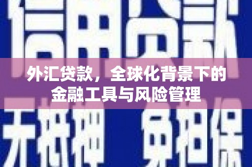 成县外汇贷款，全球化背景下的金融工具与风险管理