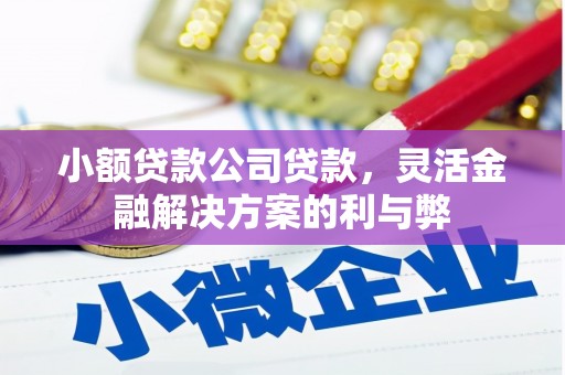 成县小额贷款公司贷款，灵活金融解决方案的利与弊