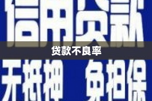 成县贷款不良率