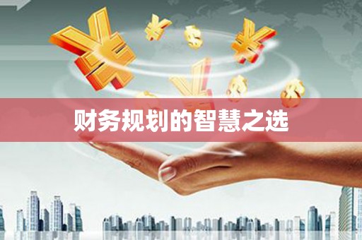 成县财务规划的智慧之选