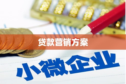 成县贷款营销方案