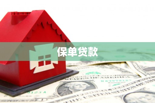 成县保单贷款